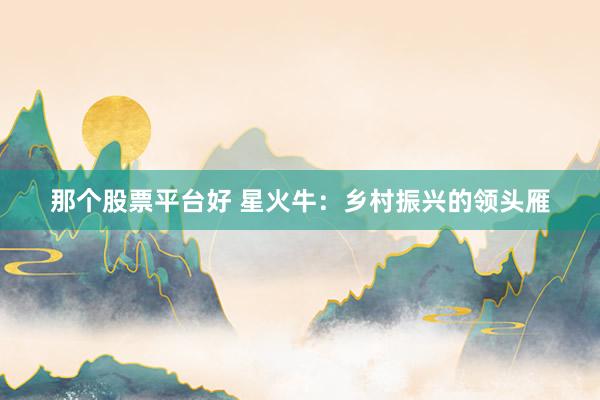 那个股票平台好 星火牛：乡村振兴的领头雁