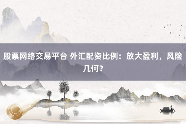 股票网络交易平台 外汇配资比例：放大盈利，风险几何？