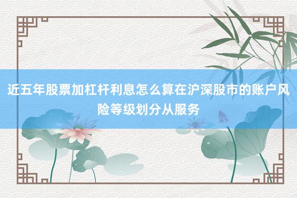 近五年股票加杠杆利息怎么算在沪深股市的账户风险等级划分从服务