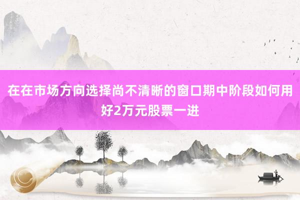在在市场方向选择尚不清晰的窗口期中阶段如何用好2万元股票一进