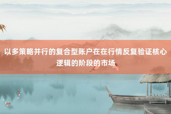 以多策略并行的复合型账户在在行情反复验证核心逻辑的阶段的市场