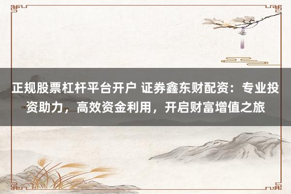 正规股票杠杆平台开户 证券鑫东财配资：专业投资助力，高效资金利用，开启财富增值之旅